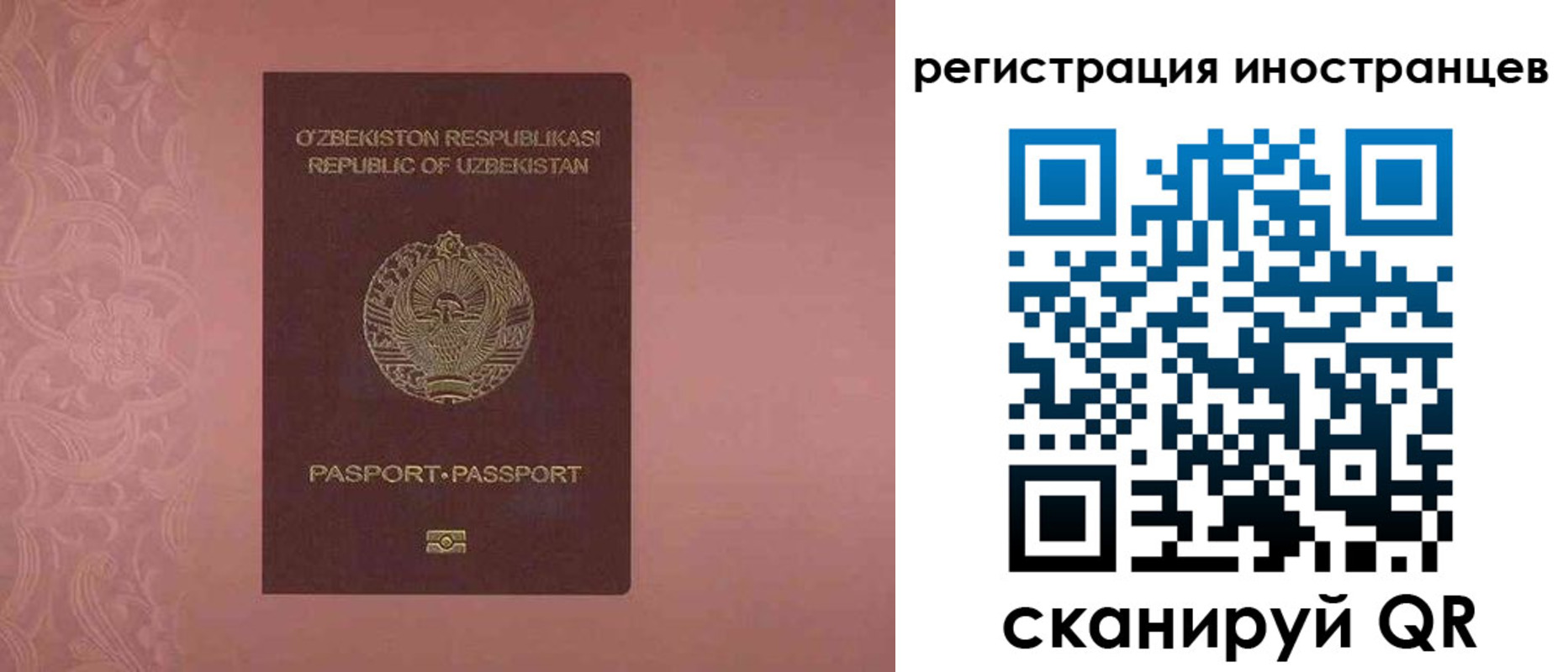 временная регистрация госуслуги в Тамбовской области